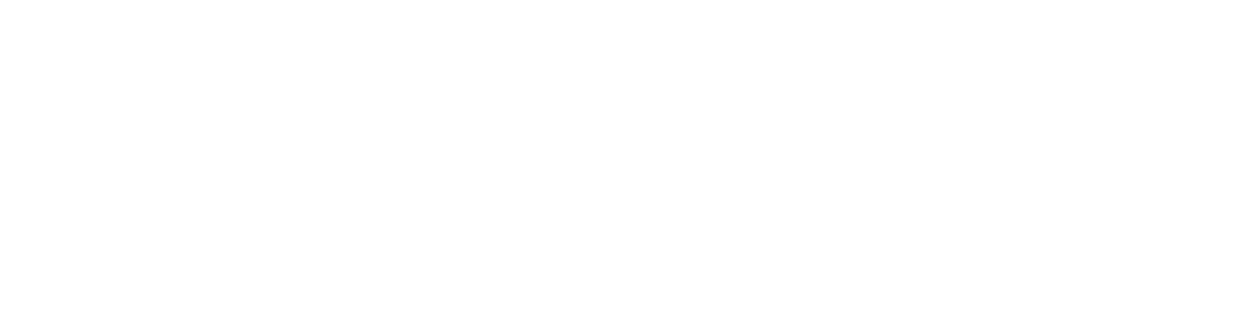 NSL Motor